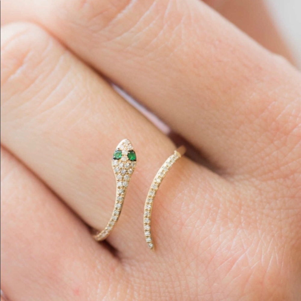 🐍 Snake ring